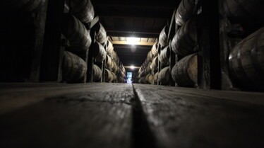 L'infiltrée  Les drogues de synthèses (2).JPG