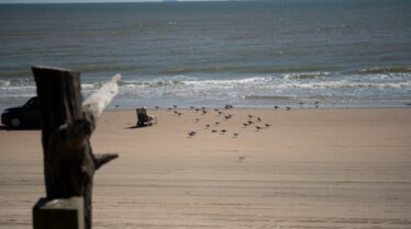 Sharks Attack ! Terreur au Texas (2).jpg