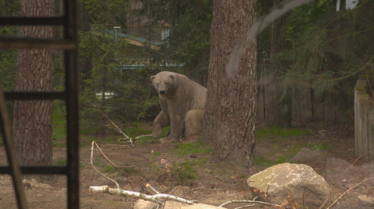 Une saison au zoo 12 (1).tif