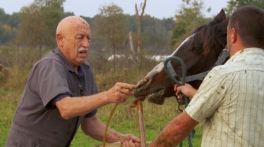 L'incroyable Dr Pol  La fête des mères (1).JPG
