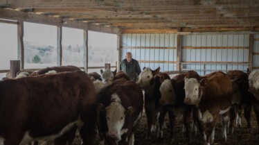 L'incroyable Dr Pol  La fête des mères (2).jpg