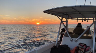 Requins à la frontière du nord (2).jpg