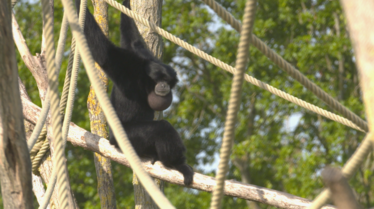 Une saison au zoo (2).tif