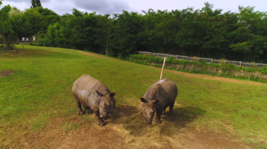 Une saison au zoo (3).tif