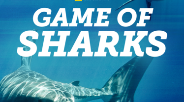 Game of sharks KA.png