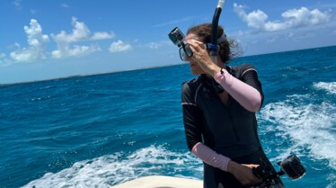 Requins vs Dauphins Bahamas (3).jpg