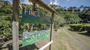 Restaurants du bout du monde  Cuisine au sommet du Panama (2).jpg