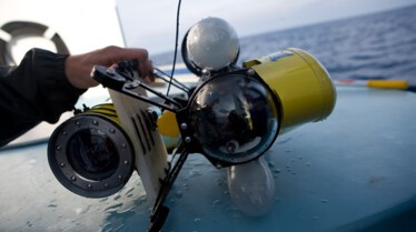 Les hommes-requins  Première morsure (1).JPG