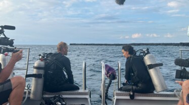 SHARKCANO HAWAÏ (1).jpg