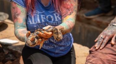 Tout feu tout flamme (1).jpg