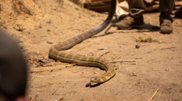 Tout feu tout flamme (2).jpg