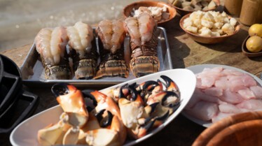 Gordon Ramsay  Territoires inexplorés - La République des Conques (2).jpg