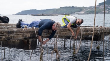 Gordon Ramsay  territoires inexplorés - Les délices de Galice (2).jpg