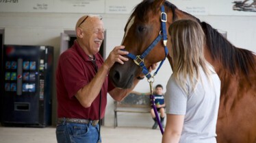 Champ de foire (2).jpg