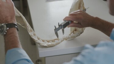 Embuscade en Australie (2).jpg