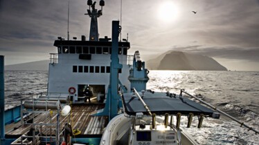 Les hommes-requins  Gouttes de sang (1).JPG