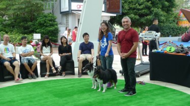 SOS Cesar en Asie  Problème au Dog Café! (1).jpg