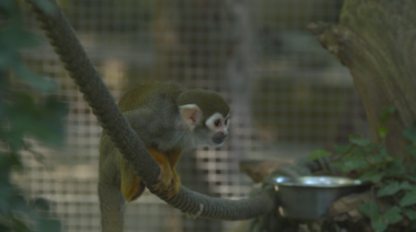 Une saison au zoo (3).tif