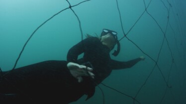 Sharks Attack ! Terreur des profondeurs (3).jpg