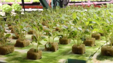 Retour à la terre (1).jpg