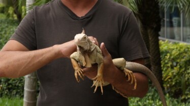 La Clinique des animaux exotiques  Dr T à l’honneur ! (2).jpg