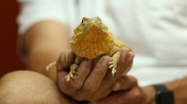 La clinique des animaux exotiques  À la rescousse ! (2).jpg