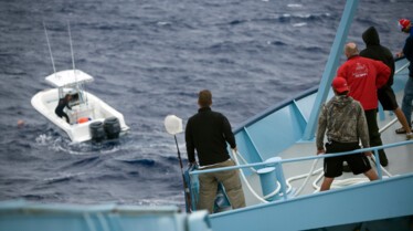 Les hommes-requins  Iles aux requins marteaux (1).JPG