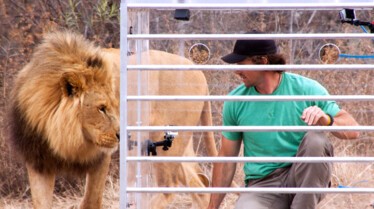 Man vs Lion (1).jpg