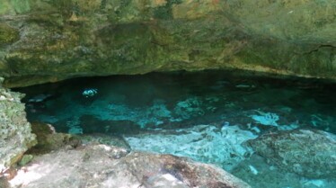 Destination Wild  Mexique - La chasse aux trésors (3).jpg