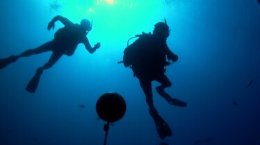 Les hommes-requins  Nuages à l'horizon (3).jpg