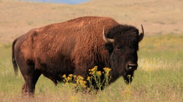 Destination Wild  Mexique - La chasse aux trésors (2).jpg