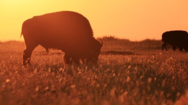 Destination Wild  Mexique - La chasse aux trésors (1).jpg