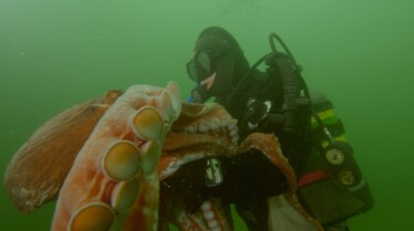 Homme vs Pieuvre (2).jpg