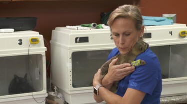 La clinique des animaux exotiques (1).jpg