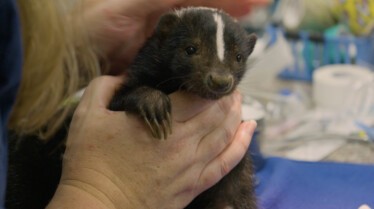 La clinique des animaux exotiques (3).jpg