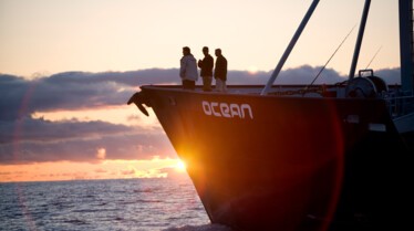 Les hommes-requins  Mission impossible (3).JPG