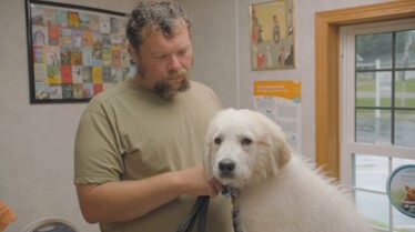 Une ferme est née (2).jpg