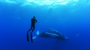 OceanXplorers (3).jpg