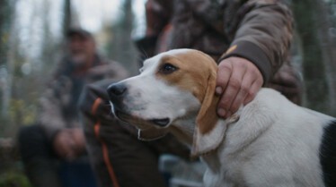 Une vie de chien - Un lien ancestral (1).JPG