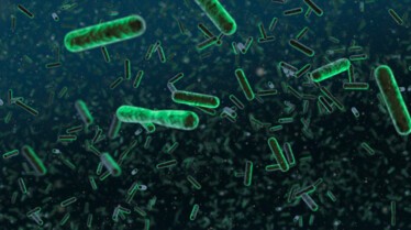 Genius avec Stephen Hawking (2).jpg