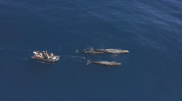 OceanXplorers (2).jpg