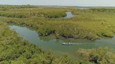 Derniers géants (3).jpg