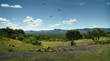 Destination Wild  Portugal (3).jpg