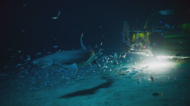 Jurassic Shark (4).jpg