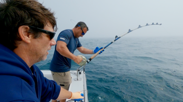 Pêche à haut risque  Jour de match (1).png
