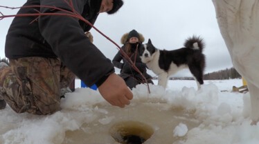 Une vie de chien - Cache-cache avec les loups (3).JPG