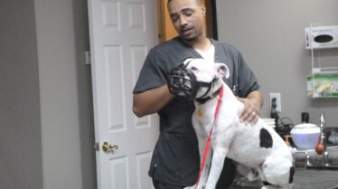 Critter Fixers Country Vets (1).jpg