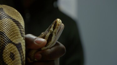 Critter Fixers Country Vets (2).JPG