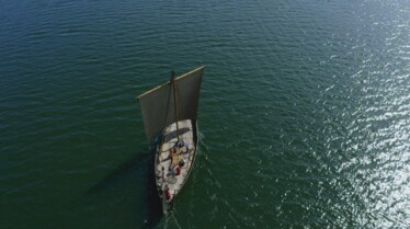 Trésors sous les mers  Trésors de Vikings (3).jpg