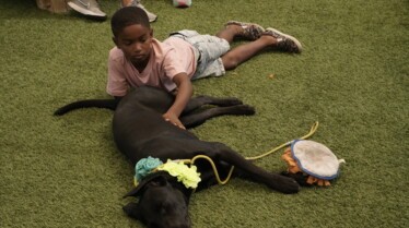 À la recherche de la chienne idéale (3).jpg